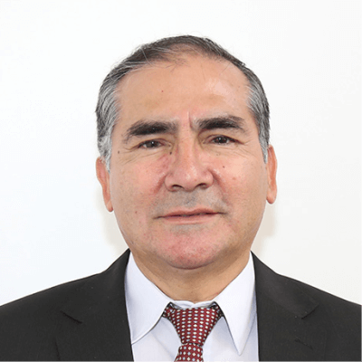 la rosa toro gomez a