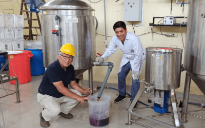 Investigador UNI inventa equipo portátil para elaborar vino y otro dispositivo para pre-fermentar orujo de la uva